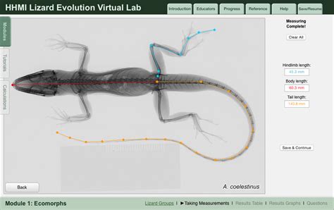 Lizard Evolution Virtual Lab – Astronaut 3 Media Group