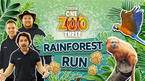 One Zoo Three: Rainforest Run Game | Free educational and fun children's game about wildlife ...