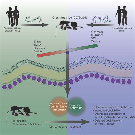 A Picture’s Worth 1,000 Words: Disseminating Research Through Graphical ...