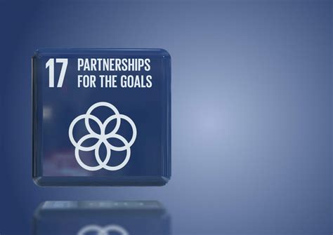 Sustainable Development Goal 17 - Partnerships for the Goals