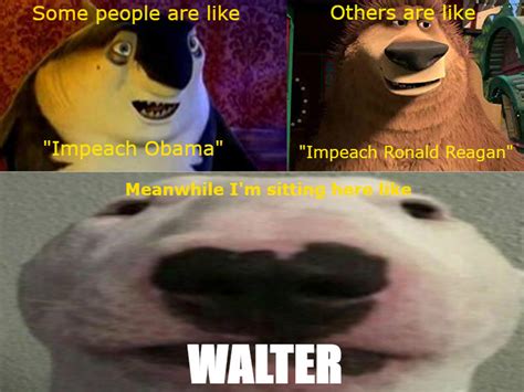 Walter Dog | Nelson the Bull Terrier / Walter | Know Your Meme