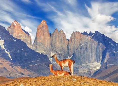 Torres Del Paine: Luxury Travel to Chilean Patagonia | LANDED Travel