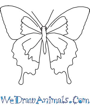 Pictures To Draw Of Butterflies