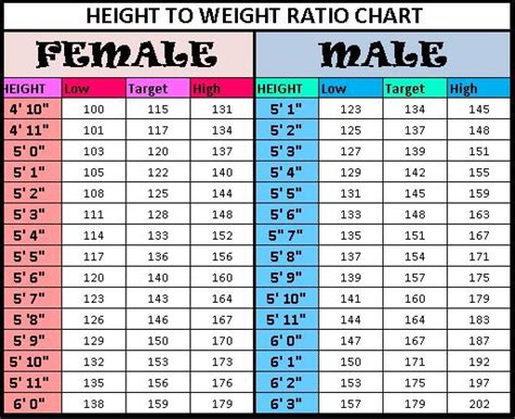 Bmi chart for women by age - EddieMalaikah