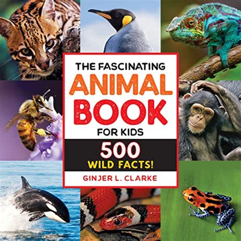 15 Best Children's Books About Animals | Mombrite