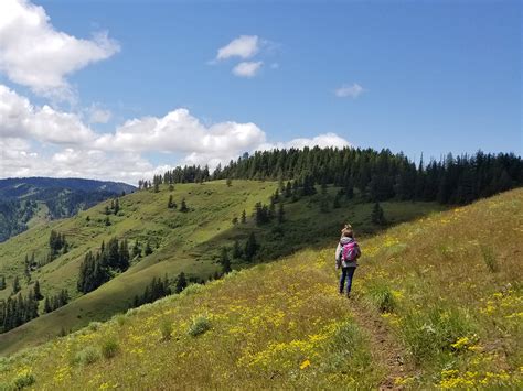 Grouse Mountain Trail, Blue Mountain Hiking - Outside Walla Walla