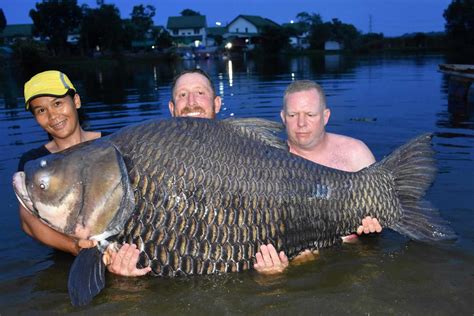 Angler Reels In Record-Breaking 231-Lb. Carp in Asia