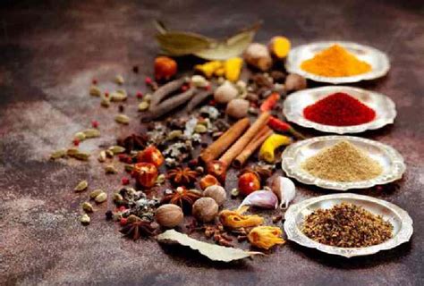 What is the Importance of Spices in Indian Food - EFGH Foods