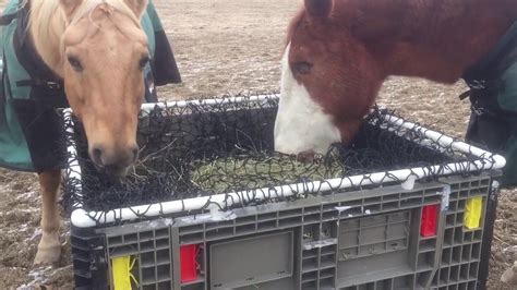 DIY Slow Horse Hay Feeder - YouTube