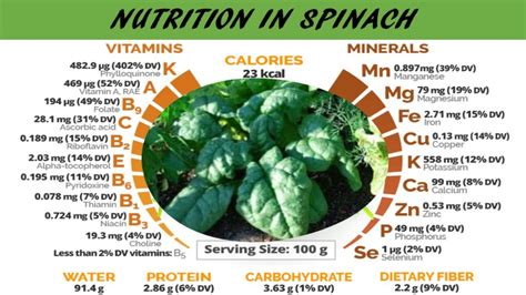 Health Benefits And Nutritional Value of Spinach