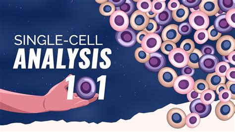 Single-Cell Analysis | Technology Networks