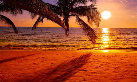 Beautiful sunset on the beach with palm tree for travel and vacation ...