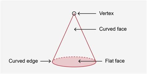 cone no of faces edges and vertices - Brainly.in