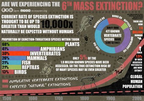 The Sixth Mass Extinction of Species – QR Learning Platform