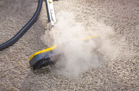 How to Kill Mold in Carpet in 10 Easy Steps - Home Vacuum Zone