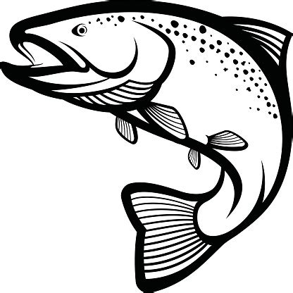 Trout Fish Stock Illustration - Download Image Now - iStock