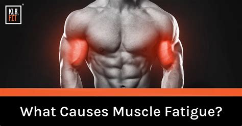 What Causes Muscle Fatigue? - Klr.Fit