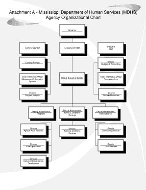 33+ Free Editable Department Organizational Chart Templates in MS Word ...