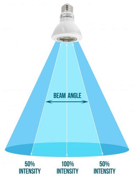 Differences between floodlight and spotlight - TACHYON Light