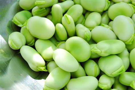 Fava Beans – Fresh Fork Market