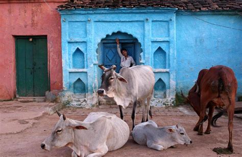 Indian Rural Life - India Travel Forum | IndiaMike.com