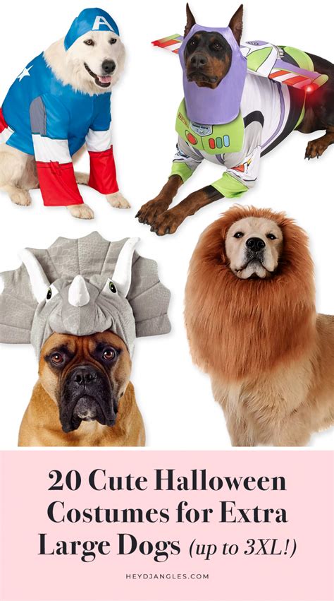 20+ Cute Halloween Costumes for Extra Large Dogs (up to 3XL!) - Hey, Djangles.