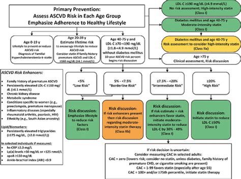 2019 ACC/AHA Guideline on the Primary Prevention of Cardiovascular ...