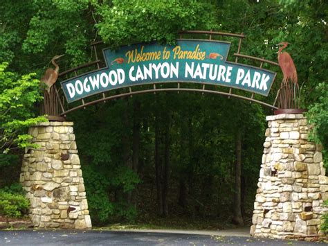 Dogwood Canyon Nature Park in Lampe, MO just outside of Branson, MO | Dogwood canyon, Dogwood ...