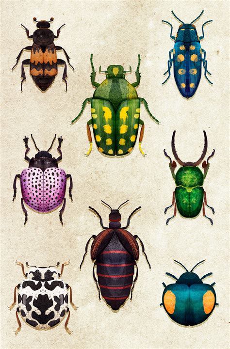 Beetle Drawing, Beetle Art, Bugs Drawing, Insect Art Projects, Posca ...