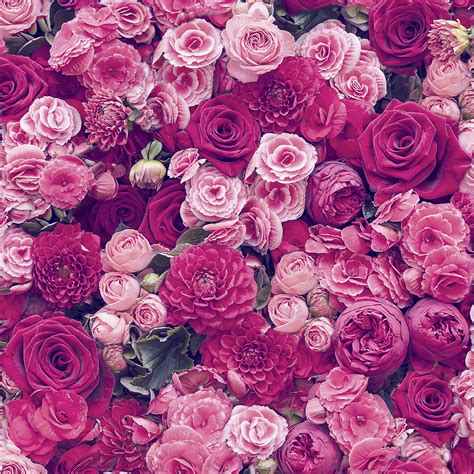 ROSES FLORAL WALLPAPER RED & PINK NEW FLOWERS LEAVES MODERN WALLPAPER 5415058063160 | eBay