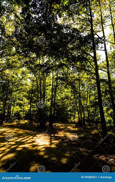 Pastoral Landscape stock image. Image of turkey, peaceful - 99080561