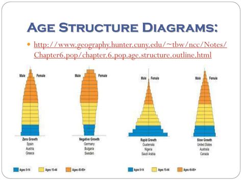 Age Structure Diagram Types