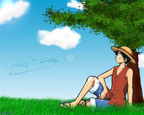 Monkey D. Luffy - One Piece Wallpaper (25736467) - Fanpop