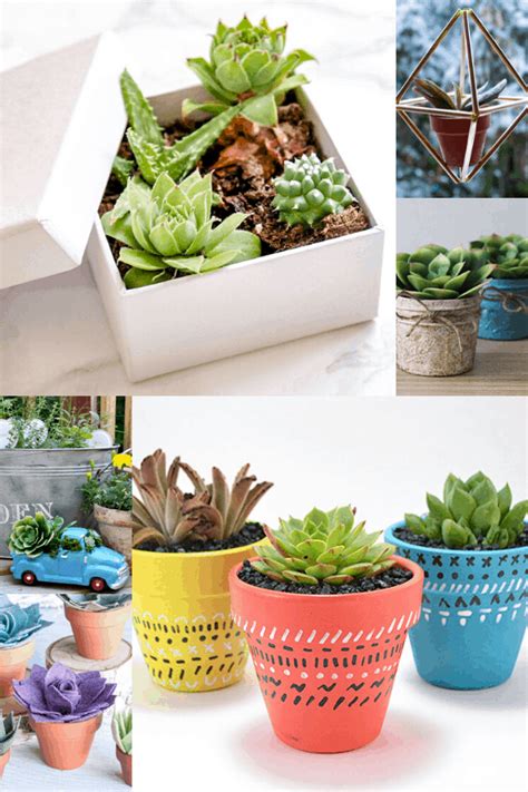 29 Cutest planter ideas for succulents - Learn to create beautiful things