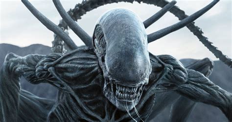 Alien: 10 Facts You Didn’t Know About The Xenomorph