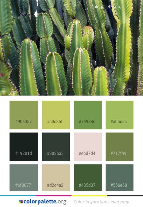 Plant Vegetation Cactus Color Palette | colorpalette.org