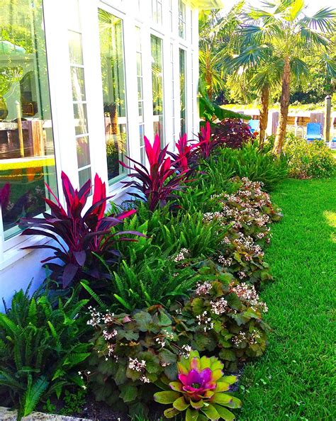 stunning way to add tropical colors to your outdoor landscaping from shade garden ideas ...