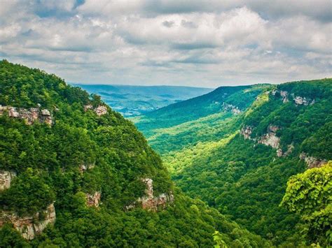 This Stunning Georgia Canyon Makes the Perfect Escape (and You Should Go) | Cloudland canyon ...