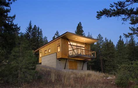 This Elevated Cabin Design Was Done on a Budget Plan