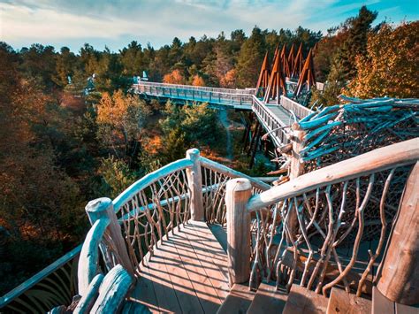 The Wild Center - Tupper Lake, NY : gopro