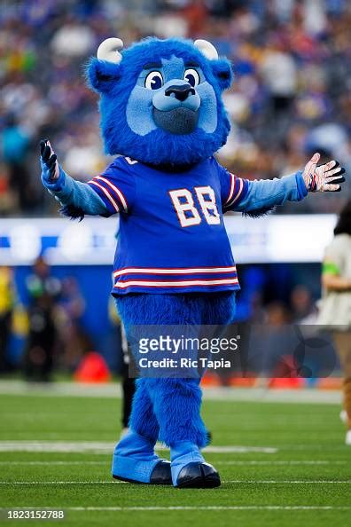 Billy Buffalo mascot of the Buffalo Bills during a game between the ...