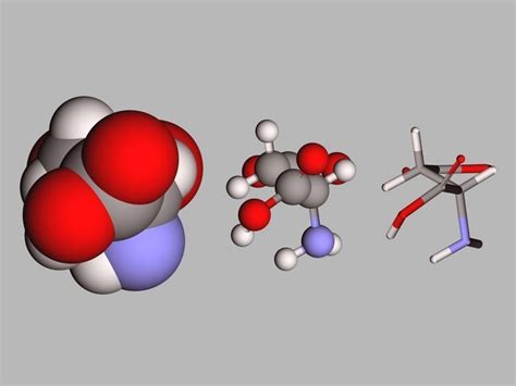 Collection of 21 alpha amino acids L- stereoisomers 3D model | CGTrader