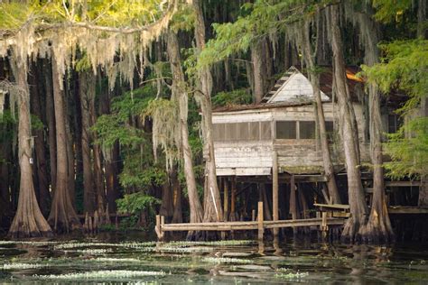 12 Best Caddo lake state park ideas in 2022 | caddo lake state park ...