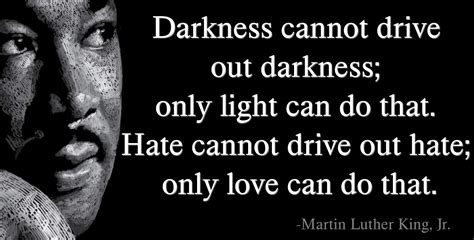 Darkness cannot drive out darkness; only light can do that. - Anand Damani