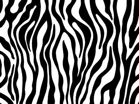 Free Zebra Print Cliparts, Download Free Zebra Print Cliparts png images, Free ClipArts on ...