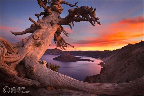 Crater Lake Sunset by Zack Schnepf Beautiful Sunset, Beautiful World, Beautiful Places, Amazing ...
