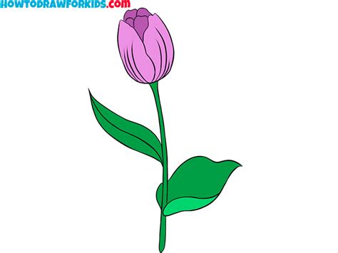 Tulip Flower Drawing For Kids