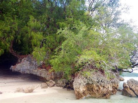 Long Beach (Koror, Palau): Top Tips Before You Go - TripAdvisor