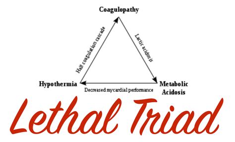 Pre-Hospital Trauma Care – Lessons Learned From the Front — Taming the SRU