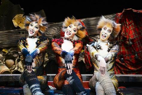 We asked a Cats superfan what the musical is actually about, and their answer was baffling Cats ...